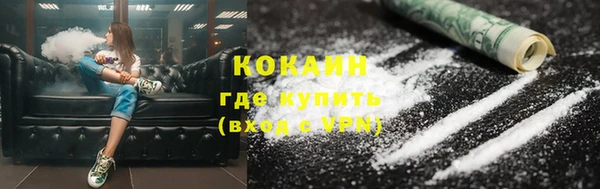 дживик Ельня