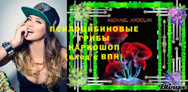 шишки Заволжье