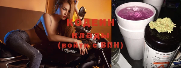 шишки Заволжье