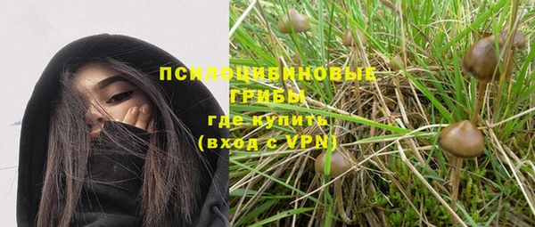 дживик Ельня