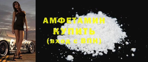 дживик Ельня