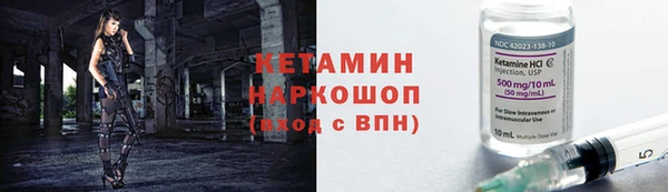 шишки Заволжье