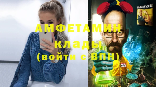 шишки Заволжье