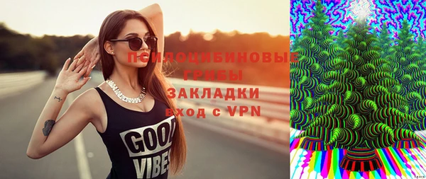 дживик Ельня