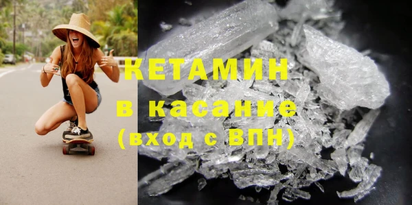 дживик Ельня