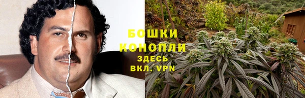 дживик Ельня