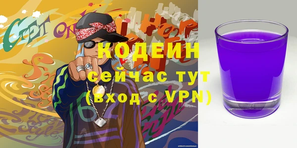 дживик Ельня