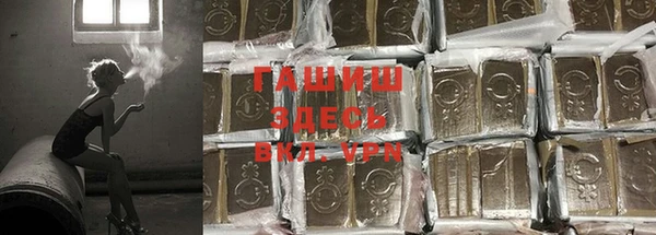дживик Ельня