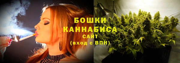 стафф Елизово