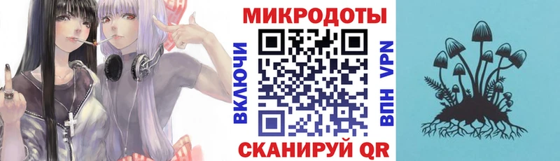Псилоцибиновые грибы Psilocybine cubensis  Купить закладки  Тейково 